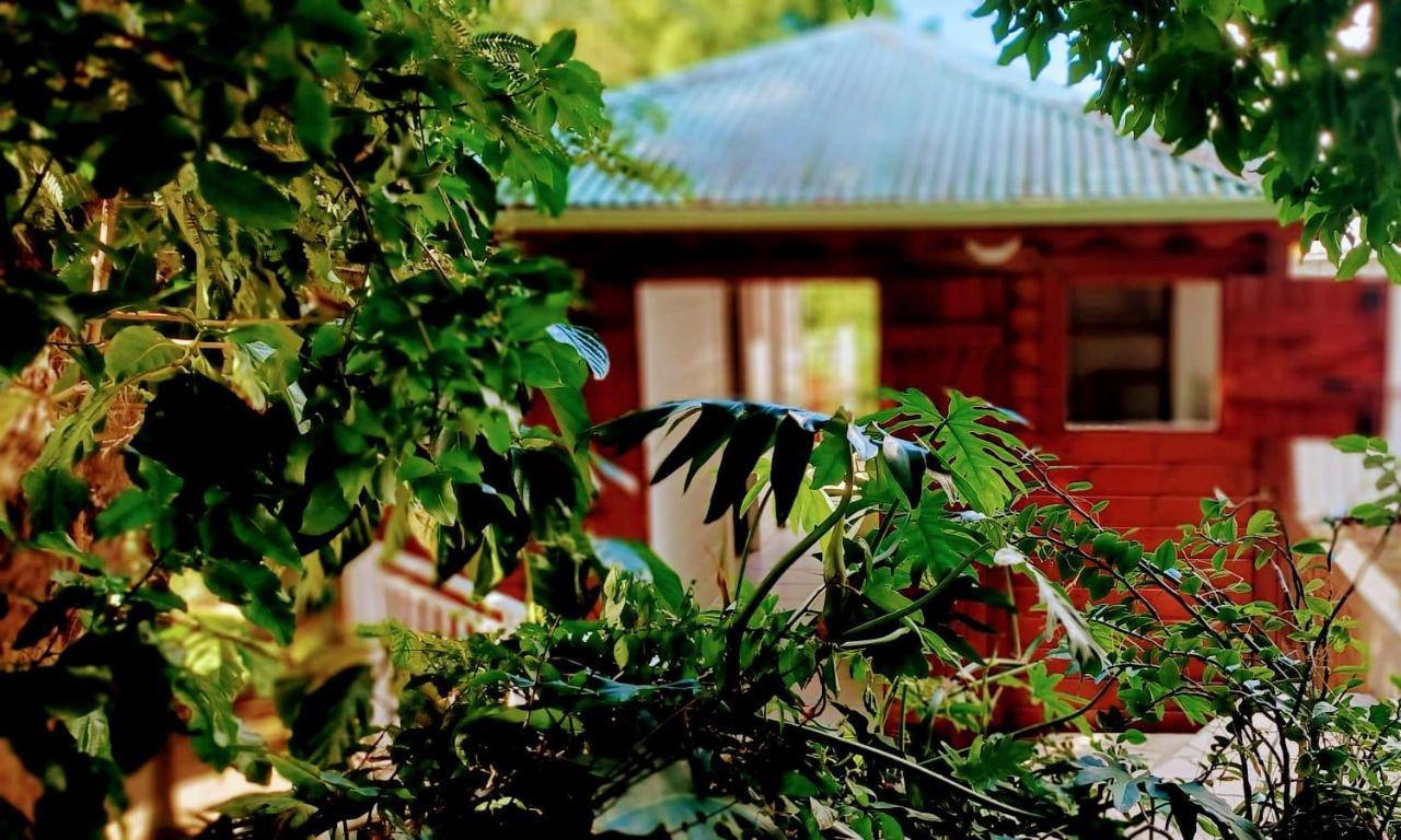 Gite Mamour - Charmant Petit Bungalow A Decouvrir Baillif ภายนอก รูปภาพ